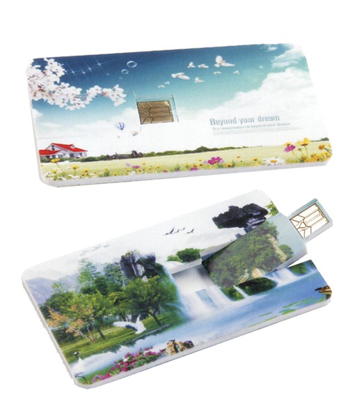 pd-071-full-colour-offset-printing-business-card-sized-pen-drive